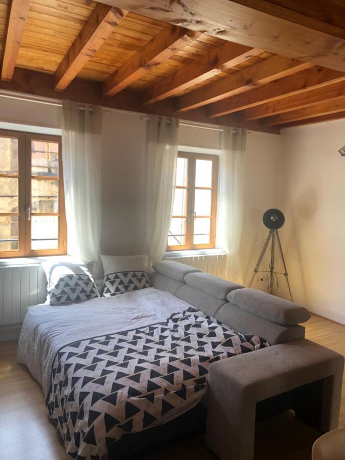 Le Double Pirou # 2 Appartements # Halte Auvergne Thiers Buitenkant foto